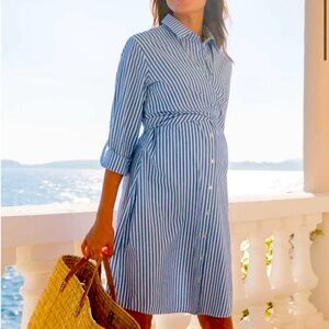 Seraphine Nursing and Maternity Shirt Dress